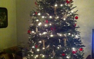 Christmas Ornaments on tree