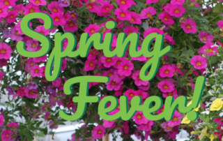 Spring Fever Pop Up