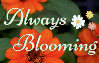 always blooming