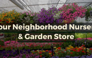 Your Neighborhood Nursery & Garden Store Pop Up