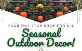 Fall Outdoor Decorations Infographic