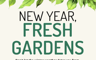 New Year, Fresh Gardens! 2