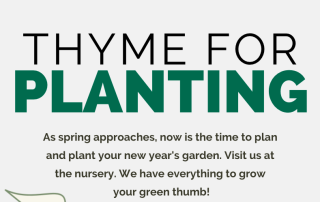Thyme For Planting! 4