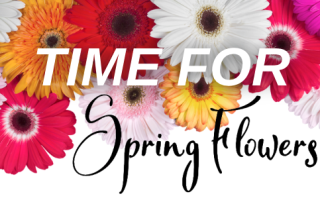 Time for Spring Flowers! 1